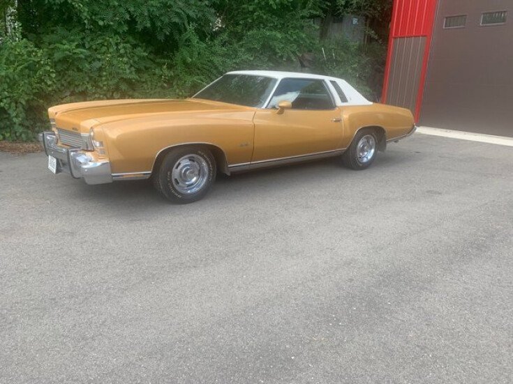 Thumbnail Photo undefined for 1973 Chevrolet Monte Carlo